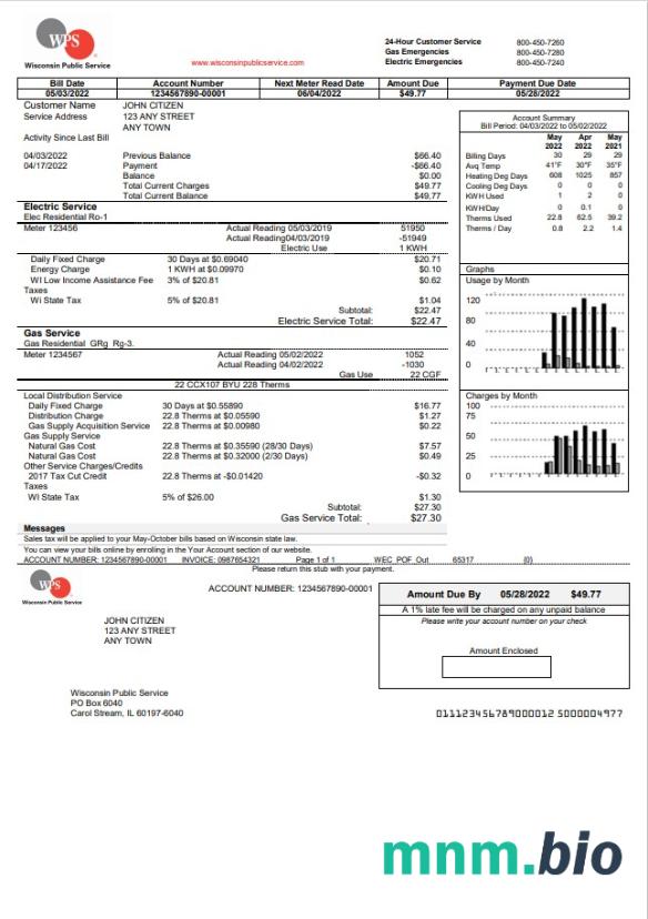 USA WPS rachunek za media szablon w formacie Word i PDF